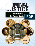 Prison and the Penal System