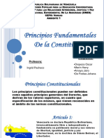 Principios de La Constitucion