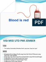 Dr. Dudung - Visitasi PMI