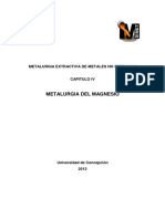 Capitulo 4 - Metalurgia del magnesio.pdf