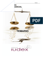 Auxilio Judicial Temario