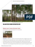 Malabar Neem Farming Information Guide - Agrifarming