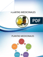 PLANTAS MEDICINALES