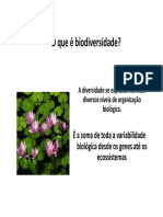 Aula Biodiversidade UEMA