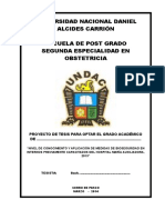 Universidad Nacional Daniel Alcides Carrion Escuela de Postgrado Segunda Especialización en Obstetricia