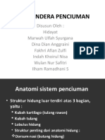 Sistem Indera Penciuman