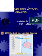 t11 2005 Oxidacao Acidos Graxos