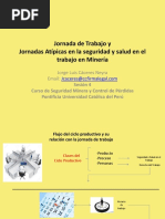 El Problema de Las Jornadas Atipicas Laborales en El Sector Minero Sesion 4Mayo13
