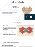 Lobulillo Portal