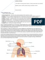 Science Reviewer - Respiratory and Circulatory System