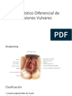 Diagnóstico Diferencial de Lesiones Vulvares