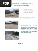 Impacto Ambiental Santa Cruz de Flores PISTAS Y VEREDAS