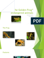 The Golden Frog