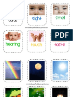 Five Senses Picture Sort PDF