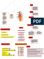 Mapping Asam Urat PDF