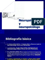 282087002-NEUROPSICOLOGIA-ppt