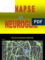 04 Sinapse Si Nevroglie.ppt