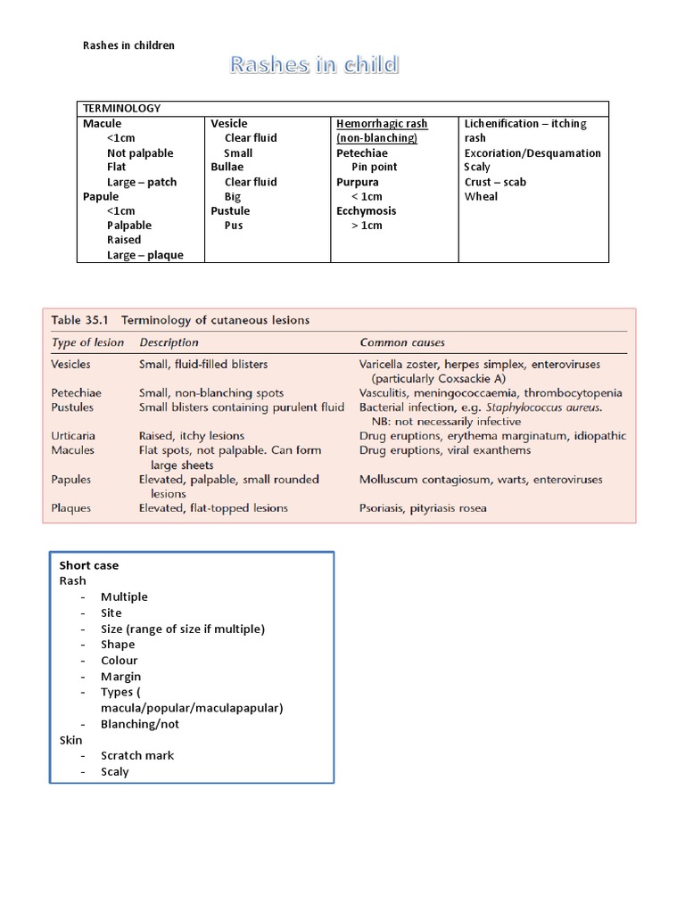 Rashes in Children | PDF | Dermatitis | Cutaneous Conditions