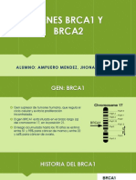 Genes Brca1 y Brca2