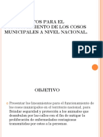 Presentacion Lineamientos para El Funcionamiento de Los Cosos Municipales A Nivel Nacional.