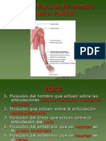 130162118-Fundamentos-Tema-7-Musculos-del-miembro-superior-ppt.ppt