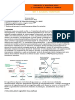 Apuntes Tema 4 - Glicolisis y Fermentación