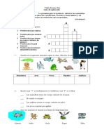 Didáctica Vertebrados.doc