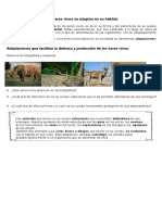 Materialunidad1 Clase Animales