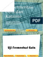 Uji Fermentasi Gula Dan Katalase Presentase