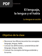 Lenguaje, Norma, Habla