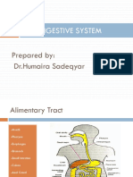 Digestive System-Presentation PDF