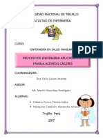 Proceso de Enfermería en Familia