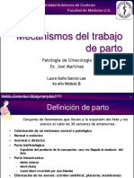 Mecanismosdeltrabajodeparto 090419000827 Phpapp01