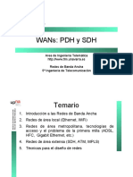 13-WANsPDHySDH.pdf
