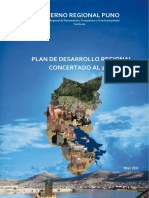 22_pdrc_puno_2021.pdf