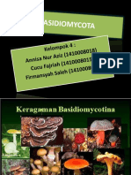 Basidiomycota OK