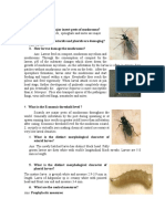 FAQ-Pest_and_Diseases.pdf