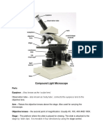 Compound Light Microscope