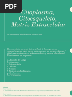 Citoplazma, Citoesqueleto y Matriz Extracelular
