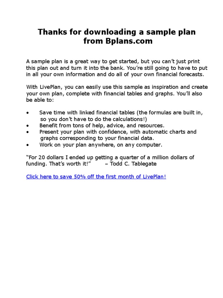 Computer Support Business Plan | PDF | Market Analysis | Strategic ...