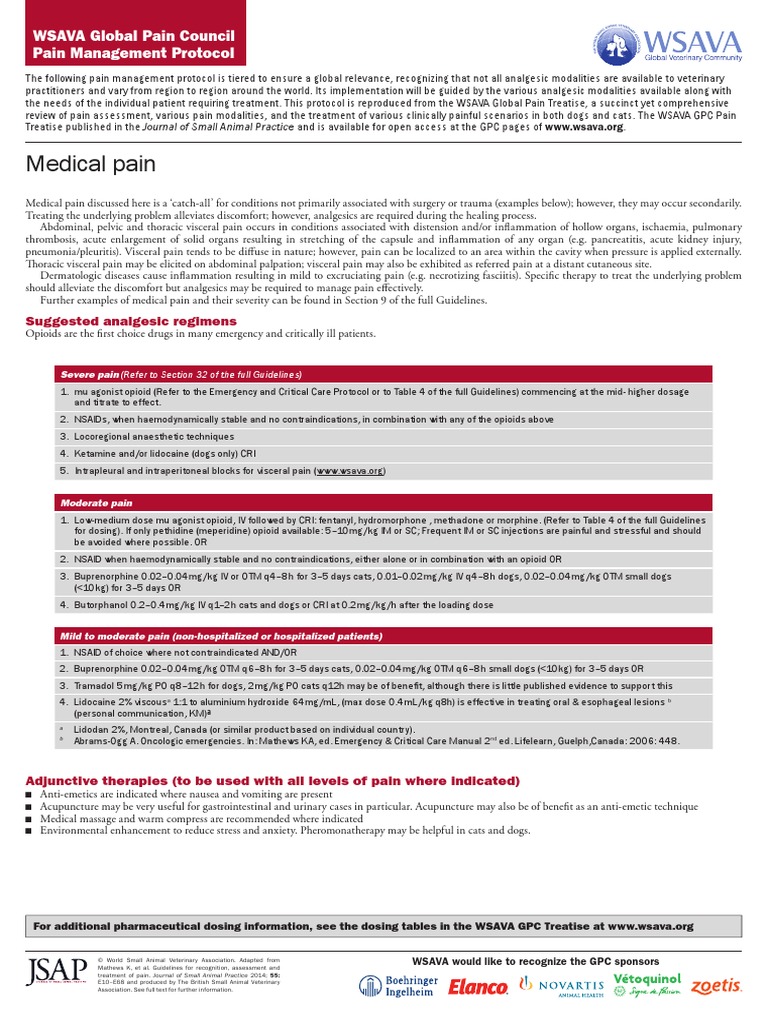 WSAVA Global Pain Council Pain Management Protocol Opioid Pain