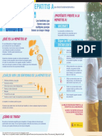 Información Sobre El Virus Hepatitis A