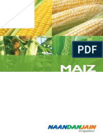 Corn_america_latina_280411F APERSOR PARA MAIZ.pdf