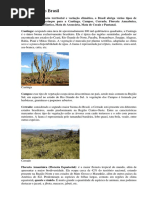 Vegetação Do Brasil