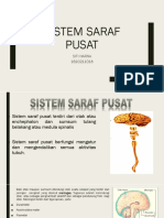 SSP case 7