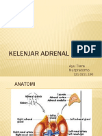 Ppt. Kelenjar Adrenal