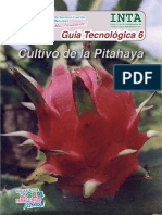 Guia practica Pitahaya 2014