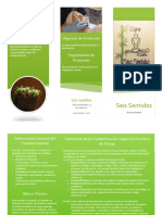 Manual de Protocolo y Guia de Bioseguridad Triptico PDF