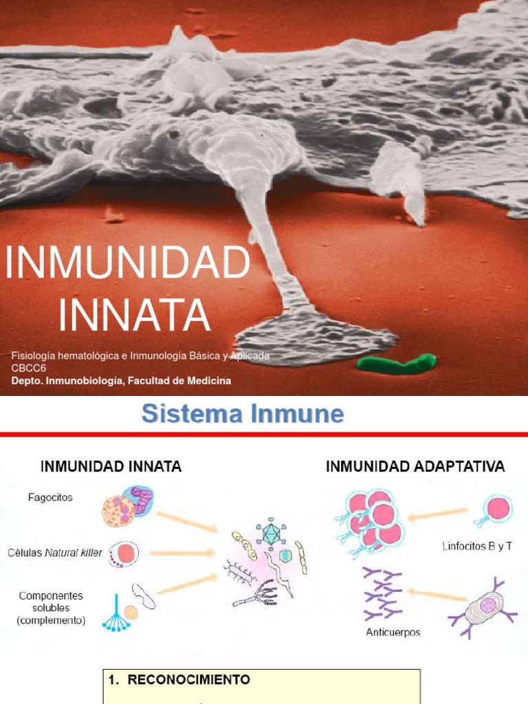 Componentes de la Inmunidad Innata | PDF | Sistema complementario ...