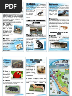 Triptico Animales Nativos y Exoticos Del Peru PDF